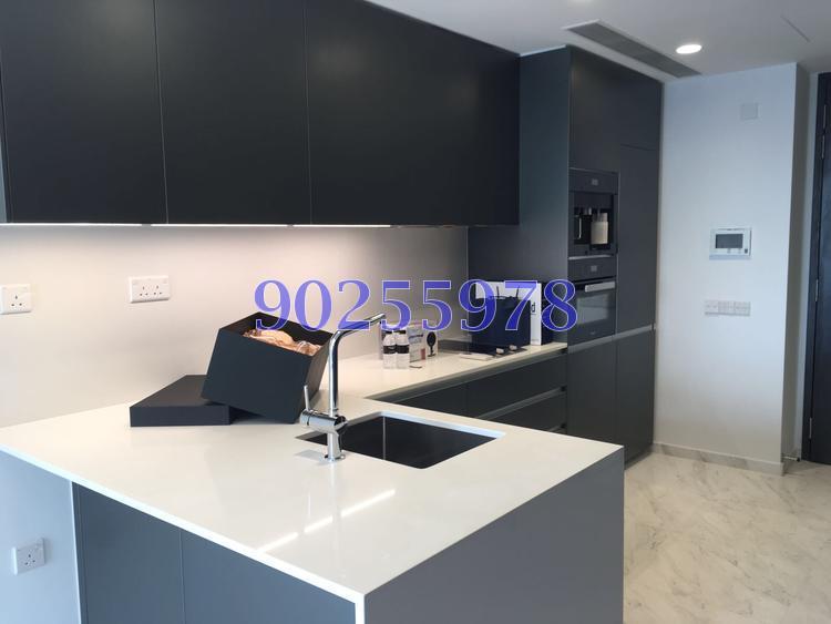 Cairnhill Nine (D9), Apartment #133606692